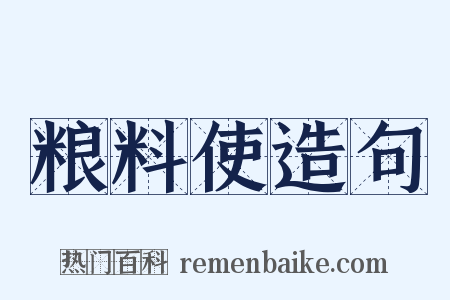 粮料使造句是什么意思的图片